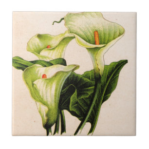 Carreau En Céramique calla lily