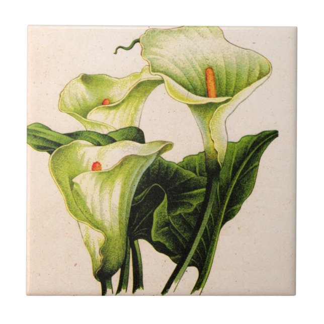 Carreau En Céramique calla lily (Devant)