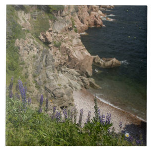 Carreau En Céramique Canada, Nouvelle-Écosse, Île du Cap-Breton, Cabo