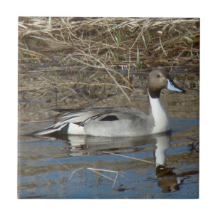 Carreau En Céramique Canard Drake du canard pilet B5