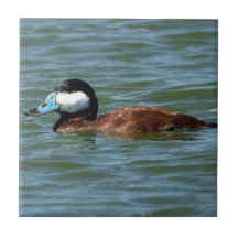 Canard vermeil