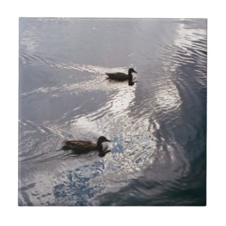 Carreau En Céramique Canards calmes avant la tempête