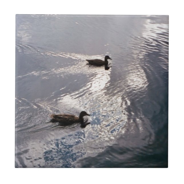 Carreau En Céramique Canards calmes avant la tempête (Devant)