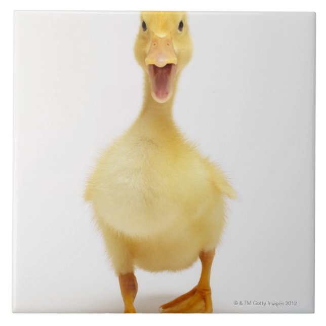 Carreau En Céramique Caneton (Devant)