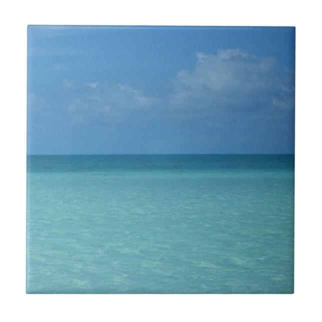 Carreau En Céramique Caraïbes Horizon Tropical Turquoise Bleu (Devant)