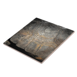 Carreau En Céramique Carapace de Tortue Gopher