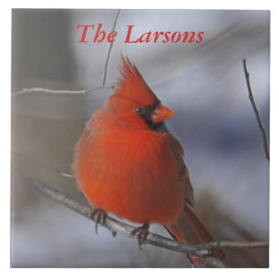 Carreau En Céramique Cardinal de Noël