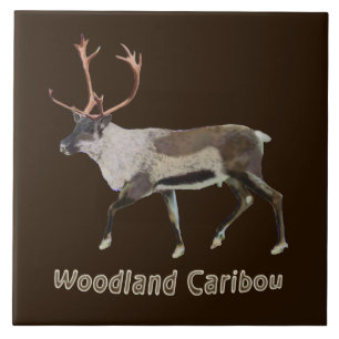 Carreau En Céramique Caribou des bois