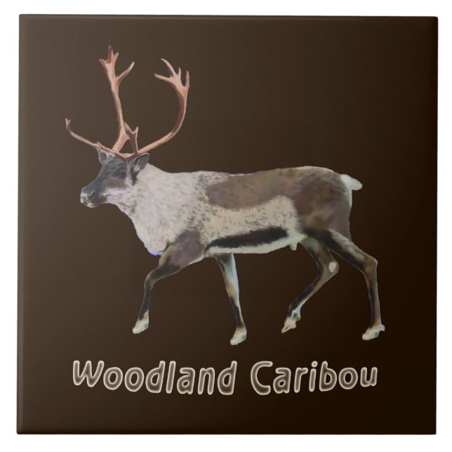 Carreau En Céramique Caribou des bois (Devant)