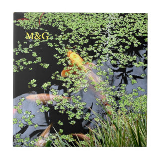 Carreau En Céramique Carpe