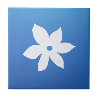 Carreau En Céramique Carreau de céramique