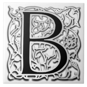 Carreau En Céramique Carreau de céramique de "Besque d'argent" de