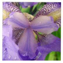 carreau de céramique de fleur pourpre abstraite de