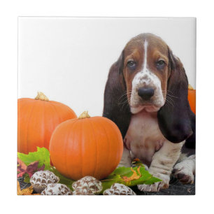 Carreau En Céramique Carreau de céramique de Halloween Basset Hound