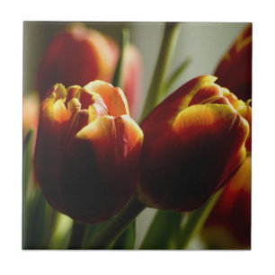 Carreau En Céramique Carreau de céramique de tulipes de bonbons au ma