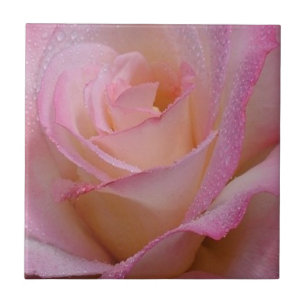 Carreau En Céramique Carrelage belle rose rose rose