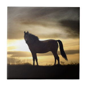 Carreau En Céramique Carrelage cadeau Sunset Horse SIlhouette