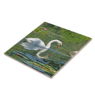 CARREAU EN CÉRAMIQUE CARRELAGE CÉRAMIQUE/TRIVET, "SWAN ON LILY POND"