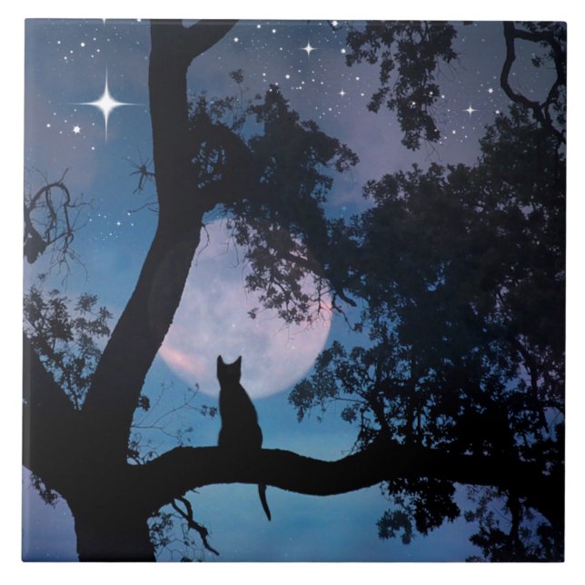 Carreau En Céramique Carrelage d'art chat et lune (Devant)