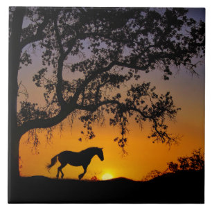 Carreau En Céramique Carrelage d'art Cheval et Oak Tree