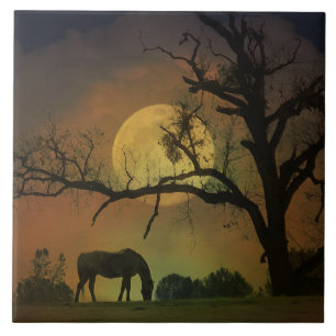 Carreau En Céramique Carrelage d'art du cheval et de la lune
