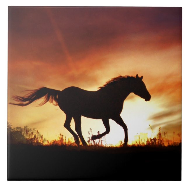 Carreau En Céramique Carrelage d'art du cheval et du coucher du soleil (Devant)