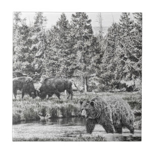 Carreau En Céramique Carrelage d'art Ours et Baffalo