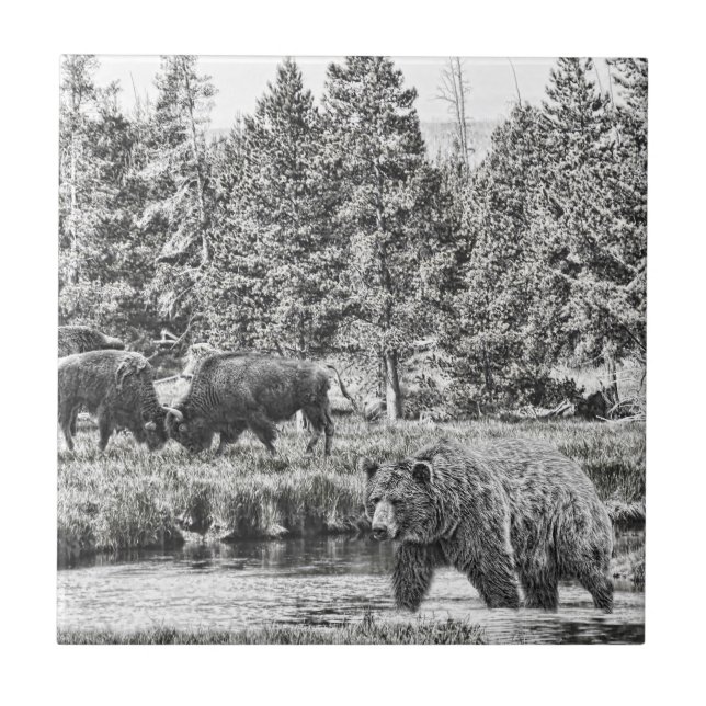 Carreau En Céramique Carrelage d'art Ours et Baffalo (Devant)