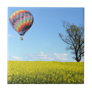 Carreau En Céramique Carrelage de ballon à air chaud