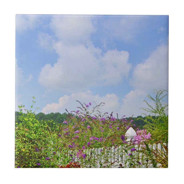 Carreau En Céramique Carrelage de jardin d'été (Devant)