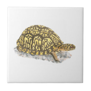 Carreau En Céramique Carrelage de tortue de boîte orientale