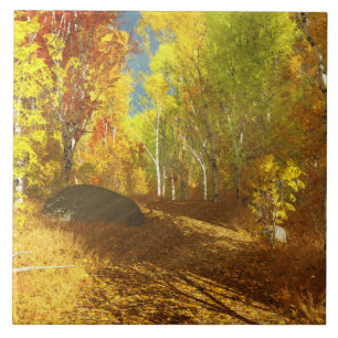 Carreau En Céramique Carrelage décoratif clair