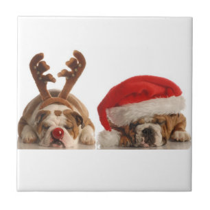 Carreau En Céramique Carrelage en céramique Buldogs de Noël