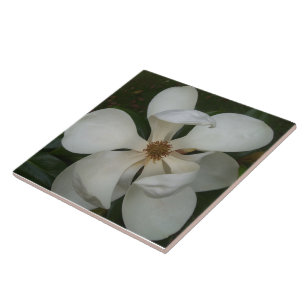 Carreau En Céramique Carrelage en céramique - Magnolia Blossom II du S
