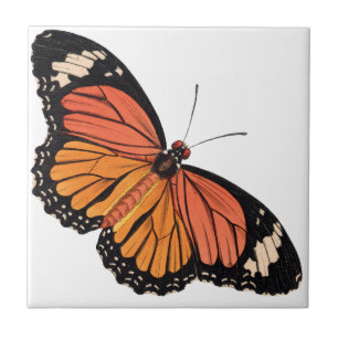 Carreau En Céramique Carrelage en céramique Monarch Butterfly