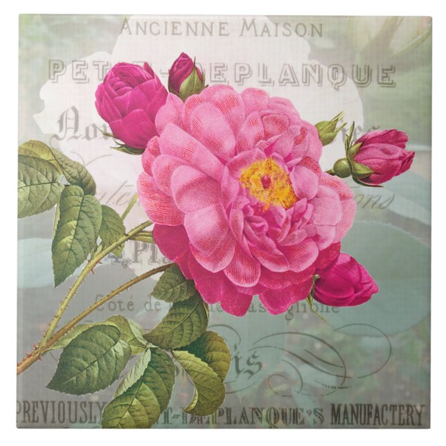 Carreau En Céramique Carrelage en céramique rose (Devant)
