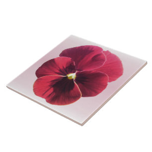 Carreau En Céramique Carrelage en céramique - Sansy rouge foncé