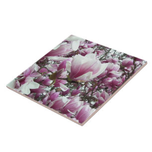 Carreau En Céramique Carrelage en céramique - Saucer Magnolia