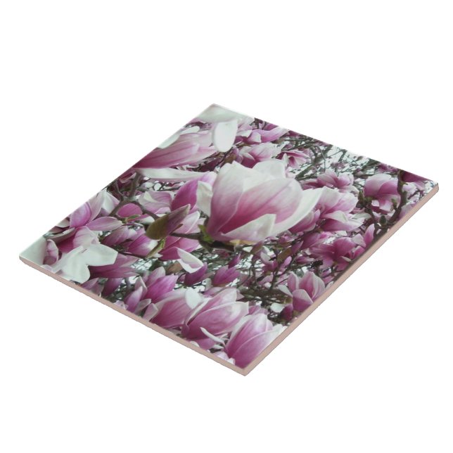 Carreau En Céramique Carrelage en céramique - Saucer Magnolia (Côté)