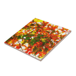 Carreau En Céramique Carrelage 'feu d'automne'/Trivet