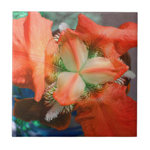 Carreau En Céramique Carrelage Fleur Orange Iris