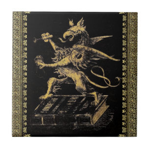 Carreau En Céramique Carrelage Griffin