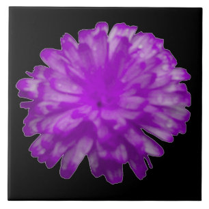 Carreau En Céramique Carrelage marigold violet