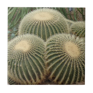 Carreau En Céramique Carrelage photo Cactus Petit (4,25 po x 4,25 po)