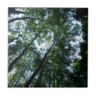 Carreau En Céramique Carrelage photo en céramique Jungle Small (4,25 po