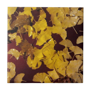 Carreau En Céramique Carrelage / Trivet avec photo d'automne feuille ja