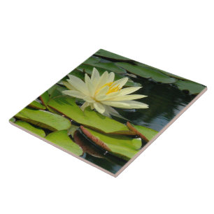 Carreau En Céramique Carrelage / Trivet Jaune Lotus Blossom (Photog)