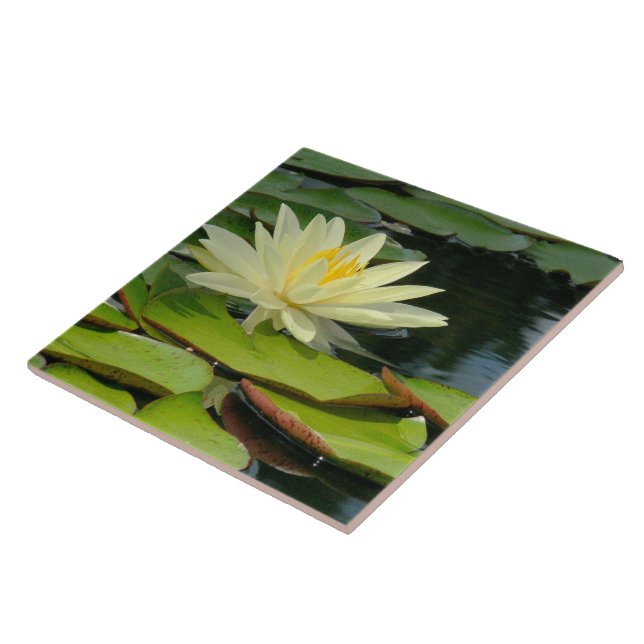 Carreau En Céramique Carrelage / Trivet Jaune Lotus Blossom (Photog) (Côté)