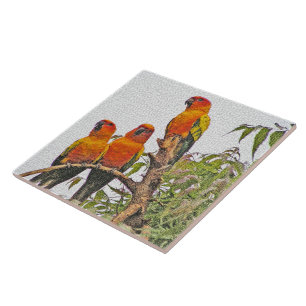 CARREAU EN CÉRAMIQUE CARRELAGE/TRIVET, TROIS PARROTS ORANGE (MANIP NUMÉ