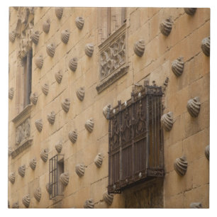 Carreau En Céramique Casa de las Conchas, Maison des Coquillages